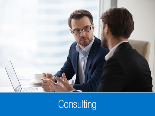 Consulting